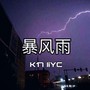 暴风雨remix