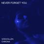 Never Forget You