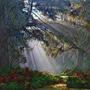 Mother Earth is Waking Up