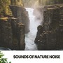 Sounds of Nature Noise: Serene Slumber Symphony