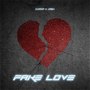 Fake Love (Explicit)