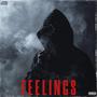 FEELINGS (Explicit)