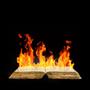 FIRESTARTER (feat. Triz)