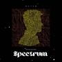 Spectrum (Radio Mix)