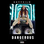Dangerous Freestyle (Explicit)