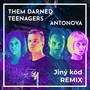 Jiný Kód (Them Darned Teenagers Remix)