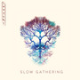 Slow Gathering (Explicit)