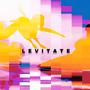 Levitate (feat. Happy Land)