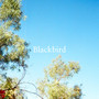 Blackbird