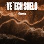 Veech Shelo