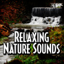 Relaxing Nature Sounds