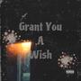 Grant You a Wish (Explicit)