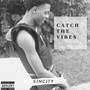Catch the Vibes (Explicit)