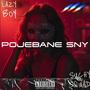 POJEBANE SNY (feat. SuchySquad) [Explicit]