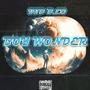 Boy Wonder (Explicit)