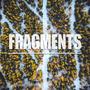 Fragments