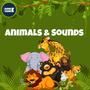 Animals & Sounds