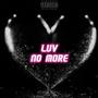 Luv No More (feat. Young Tofu) [Explicit]