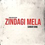 Zindagi Mela