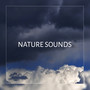 Nature Sounds