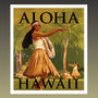 Aloha Hawaii - Hawaiian Guitar