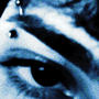 crows (prod.thersx) [Explicit]
