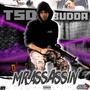 Mr Assassin (Explicit)