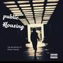 Public Housing (feat. Gleesh Huncho) [Explicit]