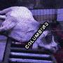Slaughtering Sacred Cows