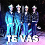 TE VAS