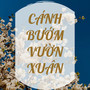 Cánh Bướm Vườn Xuân