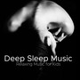 Deep Sleep Music - Relaxing Music for Kids