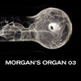 Morgan's Organ 03