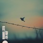 I'm Free