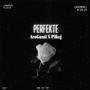 Perfekte (feat. PiKej) [Explicit]