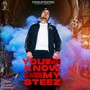 You Know My Steez (feat. Sukh Sandhu & Beat Inspector)