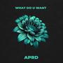 What Do U Want (Radio Edit)