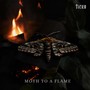 Moth To A Flame (Explicit)