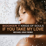 If You Take My Love (Michael Gray Remix)