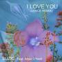 I Love You (Dance Remix)