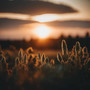 At dawn