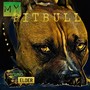 My Pitbull (Explicit)