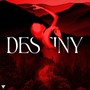 Destiny (Explicit)