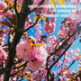 Memories to Remember, the Spring Ep