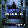 Cosmosis