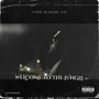 Welcome To The Jungle (feat. Noni Picasso & Noni Spitz) [Explicit]