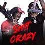 Sh!t Crazy (Explicit)