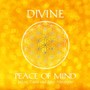 Divine: Peace of Mind (feat. Jake Abraham)