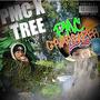 PMC X TREE (Explicit)