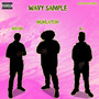 Wavy Sample (Explicit)